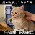 山风0556
